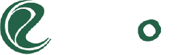 Asset 96